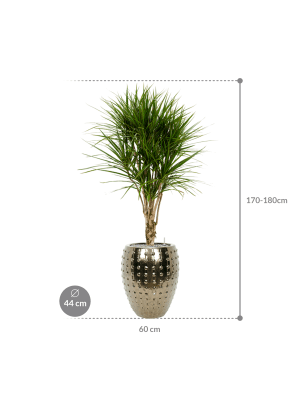 IMAGE for product variant SKU CC0031363
