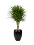 IMAGE for product variant SKU CC0031366