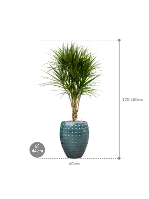 IMAGE for product variant SKU CC0031372