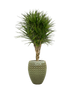 IMAGE for product variant SKU CC0031375