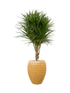 IMAGE for product variant SKU CC0031378