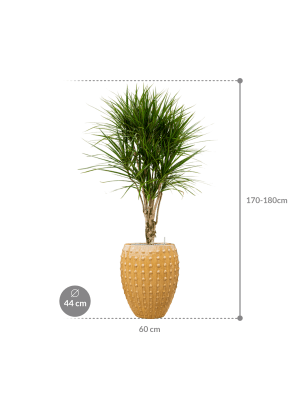 IMAGE for product variant SKU CC0031378