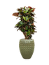 IMAGE for product variant SKU CC0031384