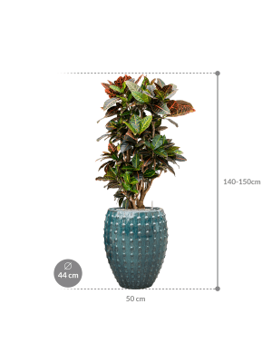IMAGE for product variant SKU CC0031387