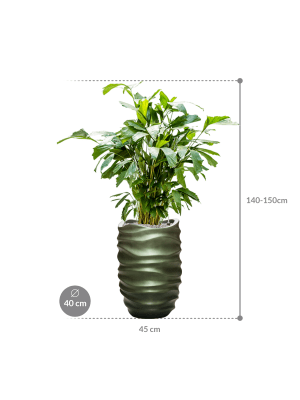 IMAGE for product variant SKU CC0034425