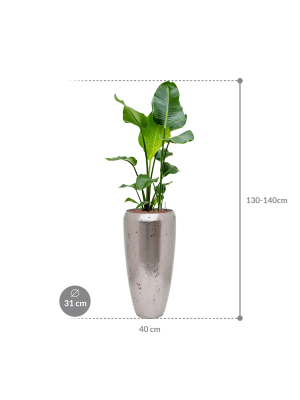 IMAGE for product variant SKU CC0035410