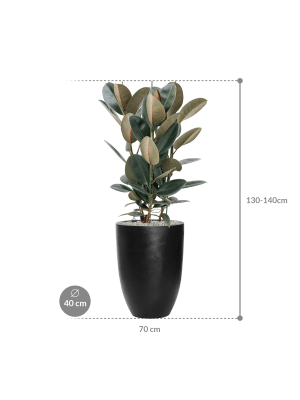 IMAGE for product variant SKU CC0039634