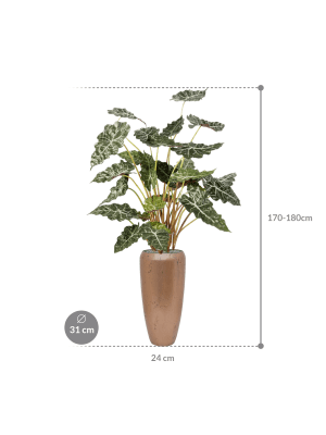 IMAGE for product variant SKU CC0042593