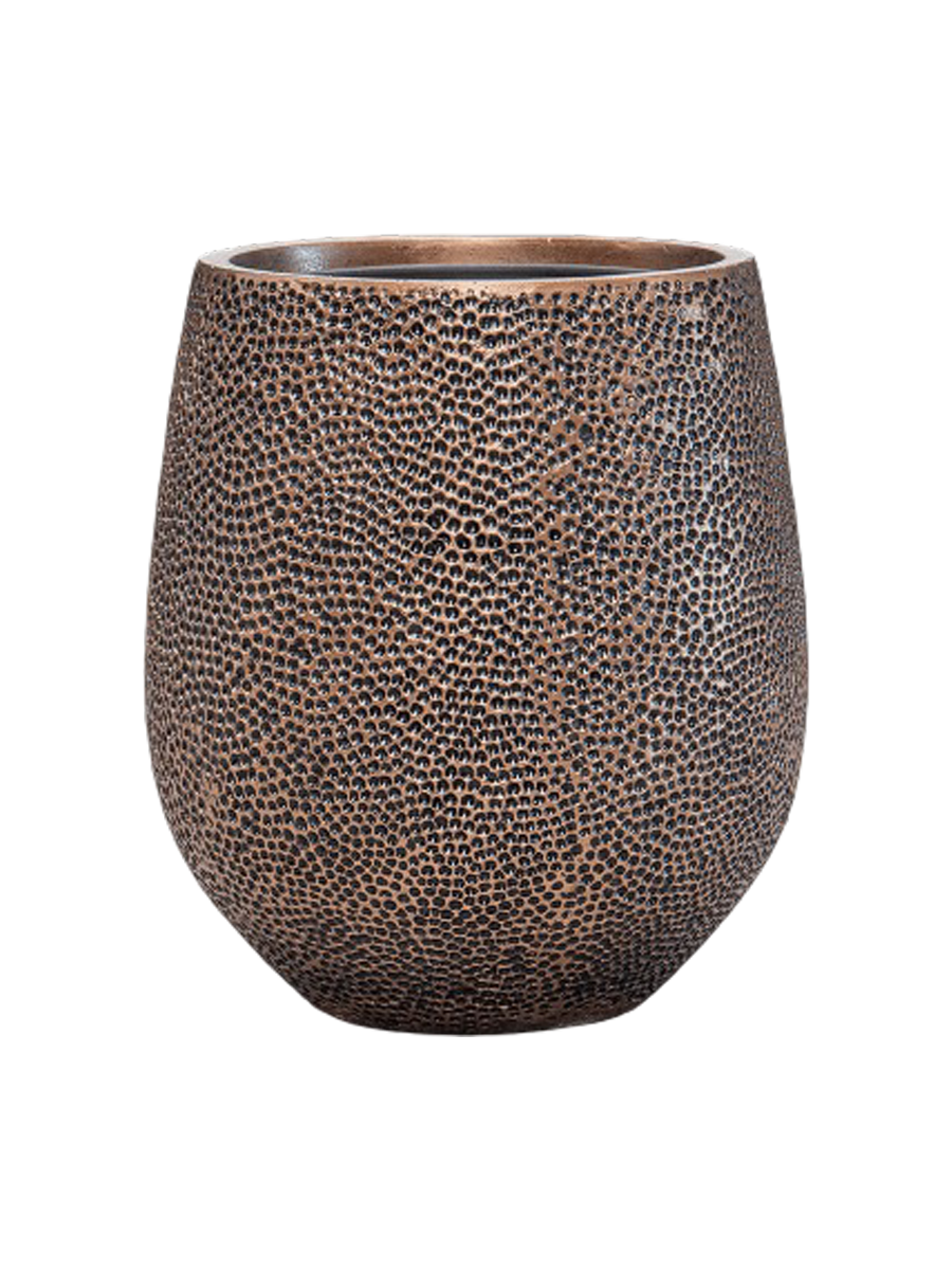 IMAGE for product variant SKU CC0042602