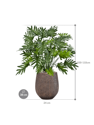 IMAGE for product variant SKU CC0042602