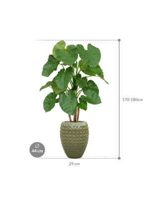 IMAGE for product variant SKU CC0042617
