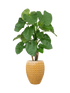 IMAGE for product variant SKU CC0042620