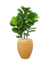 IMAGE for product variant SKU CC0042623