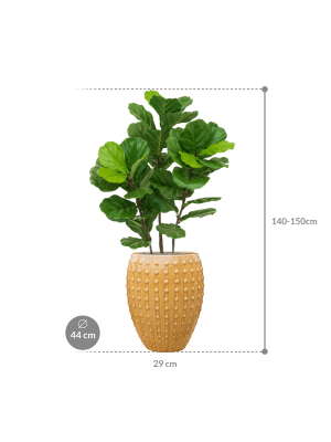 IMAGE for product variant SKU CC0042623