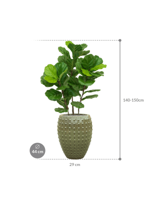 IMAGE for product variant SKU CC0042626