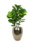 IMAGE for product variant SKU CC0042638