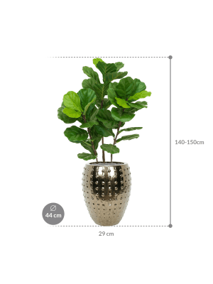 IMAGE for product variant SKU CC0042638