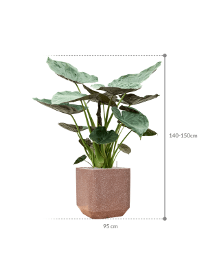 IMAGE for product variant SKU CC0044499