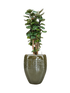 IMAGE for product variant SKU CC0047203