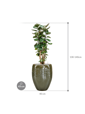 IMAGE for product variant SKU CC0047203