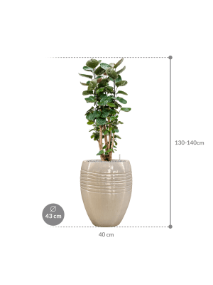 IMAGE for product variant SKU CC0047224