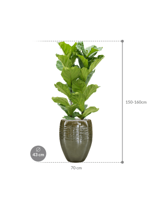 IMAGE for product variant SKU CC0047236
