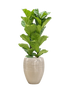 IMAGE for product variant SKU CC0047239