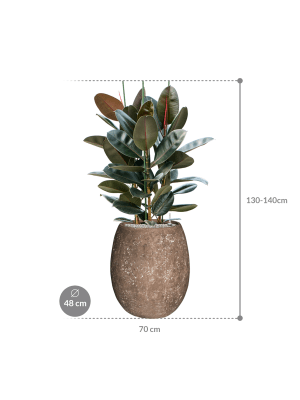 IMAGE for product variant SKU CC0049004