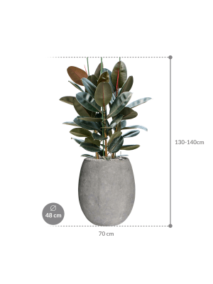 IMAGE for product variant SKU CC0049007
