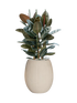 IMAGE for product variant SKU CC0049010
