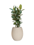 IMAGE for product variant SKU CC0049028