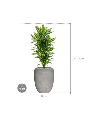 IMAGE for product variant SKU CC0050492