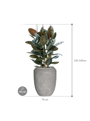 IMAGE for product variant SKU CC0050501