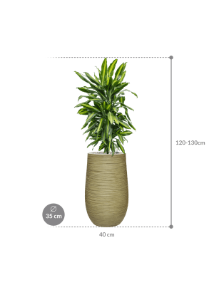 IMAGE for product variant SKU CC0051377