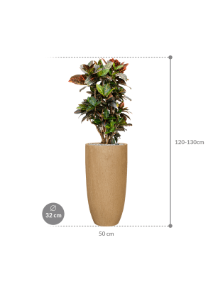 IMAGE for product variant SKU CC0051912