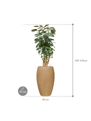 IMAGE for product variant SKU CC0052658