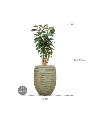 IMAGE for product variant SKU CC0052703