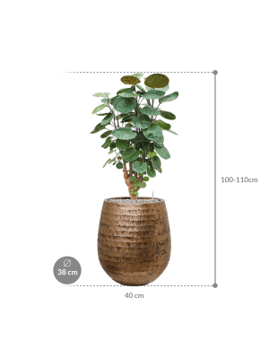 IMAGE for product variant SKU CC0053258