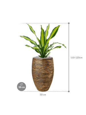 IMAGE for product variant SKU CC0054573