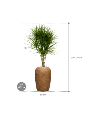 IMAGE for product variant SKU CC0055087