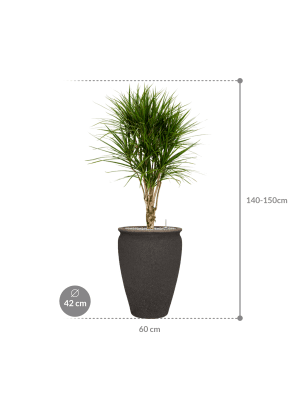 IMAGE for product variant SKU CC0056092