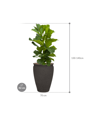 IMAGE for product variant SKU CC0056107