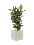 IMAGE for product variant SKU CC0057423