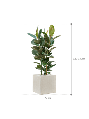 IMAGE for product variant SKU CC0057423