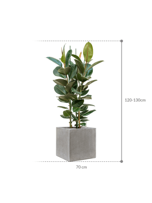 IMAGE for product variant SKU CC0057426
