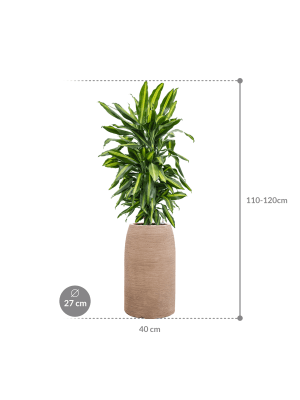 IMAGE for product variant SKU CC0059112