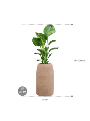 IMAGE for product variant SKU CC0059127
