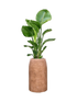 IMAGE for product variant SKU CC0059130