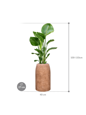 IMAGE for product variant SKU CC0059130