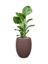 IMAGE for product variant SKU CC0063862